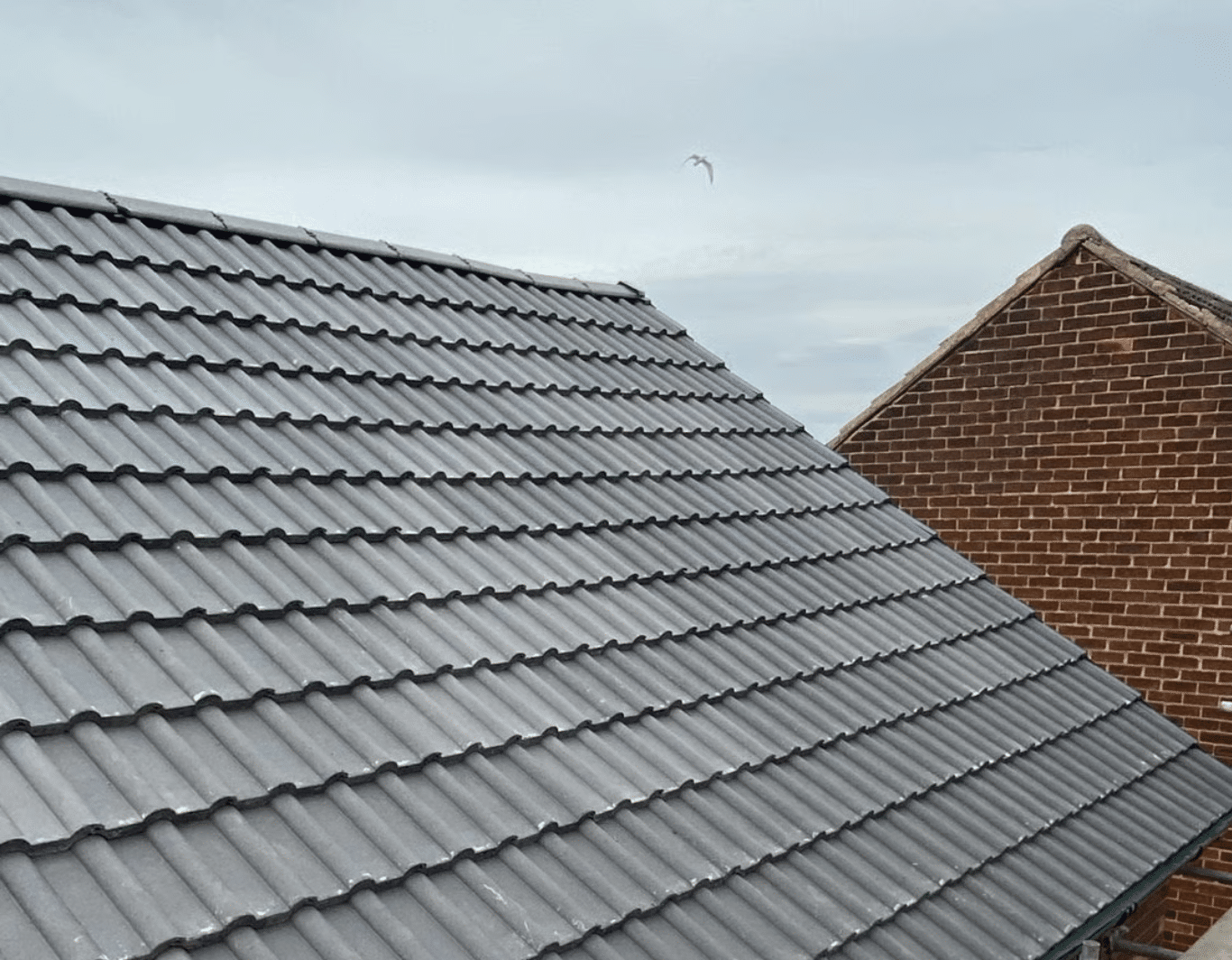 number 1 rising star about us 1